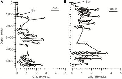 Geophysical evidence for submarine methane seepage on the Western slope of Okinawa Trough